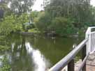 Kirchsee – Blick von der Brücke am Seeauslauf