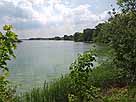 Hörnsee – Blick entlang des Nordufers
