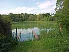 Hörnsee – nordöstlicher Seebereich