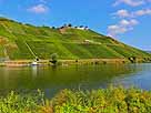 Mosel