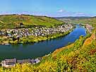 Mosel – Moselschleife Zell