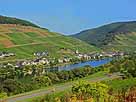 Mosel