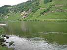 Mosel