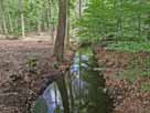 Großer Pätschsee – Verbindungsgraben zum Kleinen Pätschsee