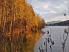 Stallauer Weiher