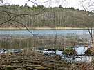 Kleiner Dölschsee
