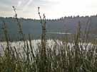 Plötzensee – Blick vom Ostufer in den nördlichen Seebereich