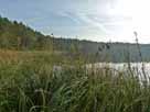 Plötzensee – Blick vom Ostufer Anfang November 2015