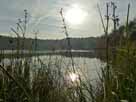 Plötzensee – Abendstimmung am Plötzensee