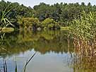 Gihmsee – Gihmsee im Juli