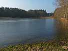 Gihmsee – Blick vom Westufer