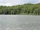 Franziskussee – Blick auf das Nordufer