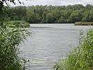 Franziskussee – am Ostufer mit Blick auf die beiden Inseln