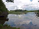 Guggenhauser Weiher – nordwestlicher Seebereich