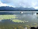 Alatsee