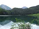 Alatsee