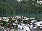 Alatsee