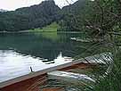 Alatsee