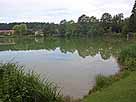 Wagenhauser Weiher – Blick vom Ostufer Richtung Wagenhausen