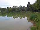 Wagenhauser Weiher – nordöstlicher Bereich mit Überlauf