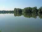 Angelteich Glinzig – Blick auf das Südufer