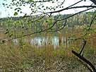 Entenweiher