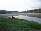 Sinterweiher – Sinterweiher im Morgengrauen