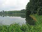 Stradower Angelteich, Weideteich – Blick vom südwestlichen Teichende