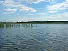 Schönfelder See