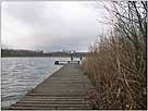 Kleiner Linowsee – an der Badestelle 2004