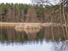 Kleiner Strubensee – Kleiner Strubensee im März 2014