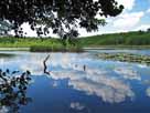 Kleiner Strubensee – Kleiner Strubensee im Juni 2010