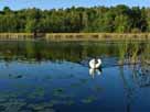 Kleiner Strubensee