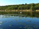 Kleiner Strubensee