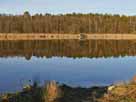 Kleiner Strubensee – Blick auf das Nordufer des kleinen Strubensees