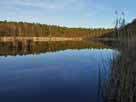 Kleiner Strubensee – östlicher Seebereich im Januar 2020