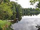 Häcklerweiher