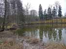Mahlweiher&nbsp;(Aulendorf / Württ)&nbsp;&ndash;&nbsp;Mahlweiher am östlichen Überlauf