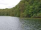 Behler See – Blick auf das Südufer