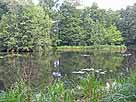 Schloßteich Lübbenau