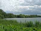 Kleiner Eutiner See – Blick in den südöstlichen Seebereich