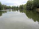 Oberer Bleicheteich – Blick auf den Teich vom Zulauf am 23.08.2014