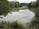 Oberer Bleicheteich (Oberoderwitz) – Blick auf den Teich am 23.08.2014