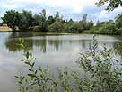 Mittlerer Bleicheteich (Oberoderwitz) – Blick vom Waldrand am 23.08.2014