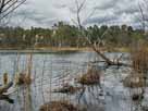 Dunkelsee – südöstlicher Seebereich