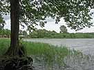 Dobersdorfer See – kleine Bucht am Nordende des Sees