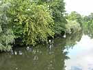 Burg-Lübbener-Kanal – Höhe Mündung Nordumfluter, Blick flussabwärts