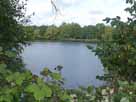 Hartigsee (Holzhausen) – Blick vom Südufer auf den See