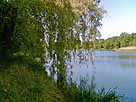 Waldsee